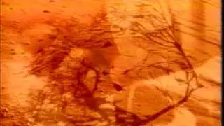 enigma-enya (tormenta en africa)