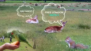 Free London Part 1 [ENG subs]