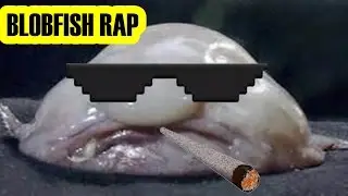 The Blobfish Rap!
