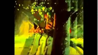 Где мои колеса   Да ты упоротый !