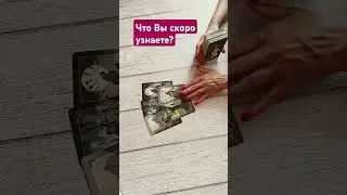 #tarotube