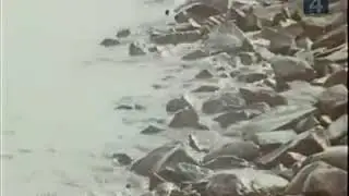 День на канале.