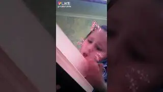 Лайк(25)