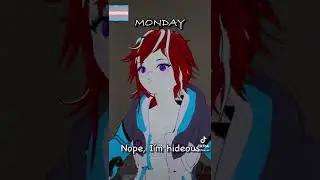 TRANSWOMEN VS MIRROR 