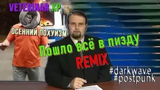 Veterinar XP - Осенний похуизм (Пошло всё в пизду ремикс)