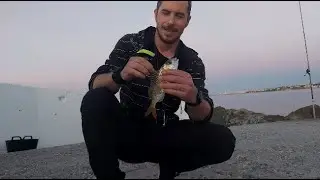 SURFCASTING EN EL ESPIGÓN PUENTE ROMANO