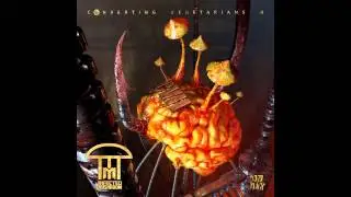 Infected Mushroom - Zoan Zaund [HQ Audio]