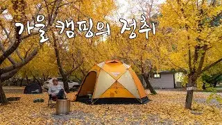[토키토키] 은행 나무 아래 솔캠, 가을캠핑, 솔로캠핑, 단풍캠핑, 가평 자연속풍경캠핑장, 미니멀웍스 망고스테이션N, 미니멀캠핑, 솔로스토브 레인저
