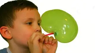Bubbles from a tube - We inflate plastic bladders Bloonies