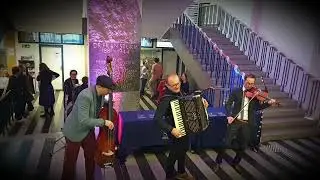 We got Busted ( musically ) by Security :)  Rođen da bi bio divlji...   ...odmah Sekjuriti  OKB band