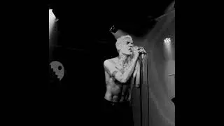[free] (5+) new wave + post punk + indie rock loop kit - "myself" (ekkstacy loop kit)
