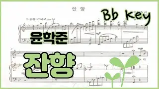 잔향 Bb 키 - [윤학준] 반주 Piano Accompaniment