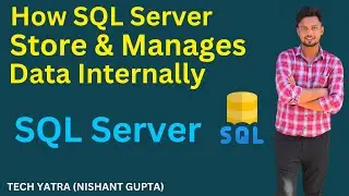 The Tech Expert's Guide to SQL Server Mastery