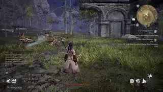 Bless Unleashed