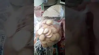 11 июня 2023 г.