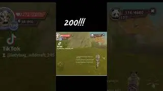 КАЧАЮ ТИГРА!!!! 200!!!!🐯🐯🐯