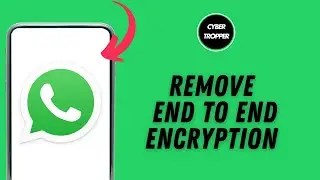 How to Remove End to End Encryption on WhatsApp