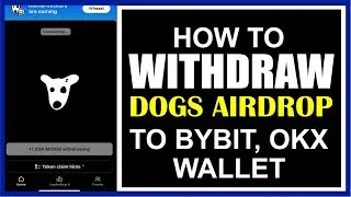 How to withdraw your Dog Coin to your Bybit, Okx wallet - Depost Dog to Bybit, Okx exchange