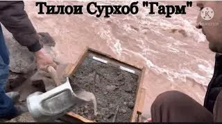 Тилои Гарм . Золота Таджикистан Коркарди тило дар Гарм Рашт