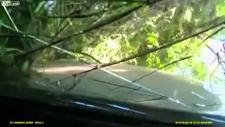 С управлением не справился    ДТП! Авария! Видеорегистратор