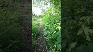 Рыбалка на фидер в джунглях