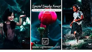 Cara Edit photo profesional Adobe Lightroom Filter Hutan Dingin | Preset