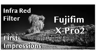 FUJIFILM X-PRO2 | Infrared Filter | IR Photography