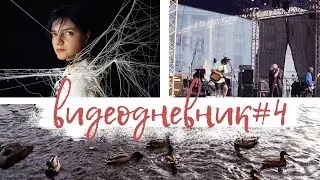 видеодневник#4: день рождения, концерт нервы, учеба.