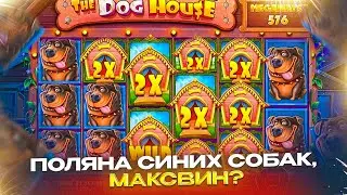 РЕАЛЬНО ПОТНАЯ КАТКА В THE DOG HOUSE MEGAWAYS !! БЕРУ ДОРОГИЕ БОНУСЫ = ЗАНОС ?? ( ЗАНОСЫ НЕДЕЛИ )