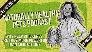 Why Keep Chickens? Are They More Powerful Than Meditation? | NHP Podcast Ep 44 | Dr. Judy & Johannes