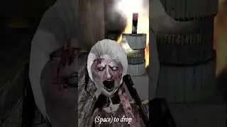 The Twins Revolver in Granny 1.9 Remake All Games