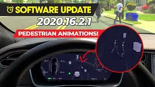 Tesla (2020.16.2.1) Pedestrian Animations!