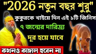 2026 সাল নতুন বছরের শুরুতে, কুকুরকে খাইয়ে দিন এই ১টি জিনিস - ৭ জন্মের দারিদ্র্য দূর হয়ে যাবে!