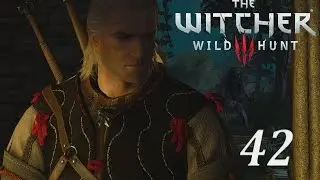 The Witcher 3 Wild Hunt Прохождение Серия 42 (Заботы Могильщика)