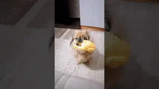 Ты мясо будешь кушать?
