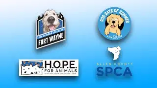 2019 Subaru Dog Days of Summer 5K Run/Walk