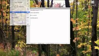 Your first LaTeX document