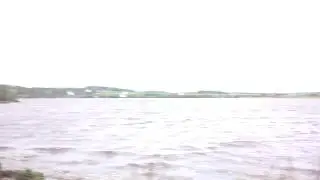 Патруши, новый пруд, рыбалка)))))