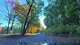 My drive into work with some foliage (Insta360 Ace Pro)