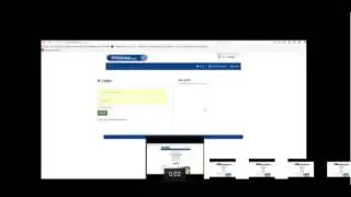 THW Global   краткая информация о бизнесе