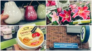 МИНИ ОБЗОР FIX PRACE МАРТА 2021✨ ЧТО КУПИЛА 🛍 