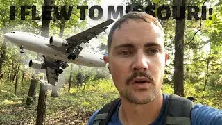 Making timber great again! (MAJOR TSI CUT)