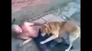 Bobik, idi nahuj...360