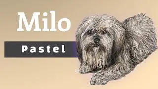 Milo  8x10 Pastel
