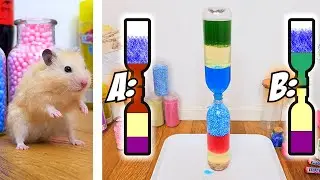 Awesome SCIENCE SHOW with HAMSTERS