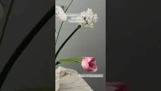Марафон "Белый танец"