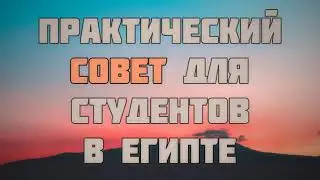 542. Практический совет для студентов в Египте || Ринат Абу Мухаммад