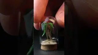 Tiny Coconut Palm Diorama 🥥 🌴 #diorama #miniature #tinythings #minithings