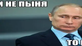 владимер путин маладец палитик лидер ибоец