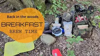 Back in the woods for breakfast, and a mystery tree knock?... am i alone in there.